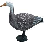 Goose